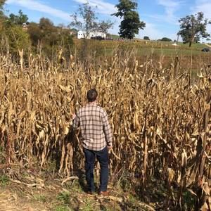 Meet your Posher, Luke